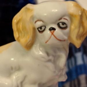 Meet your Posher, Dianne